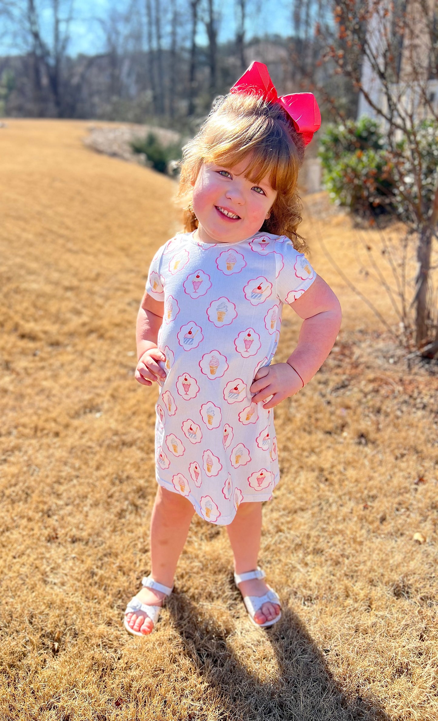 Charlotte Play Dress- Ice Cream Social