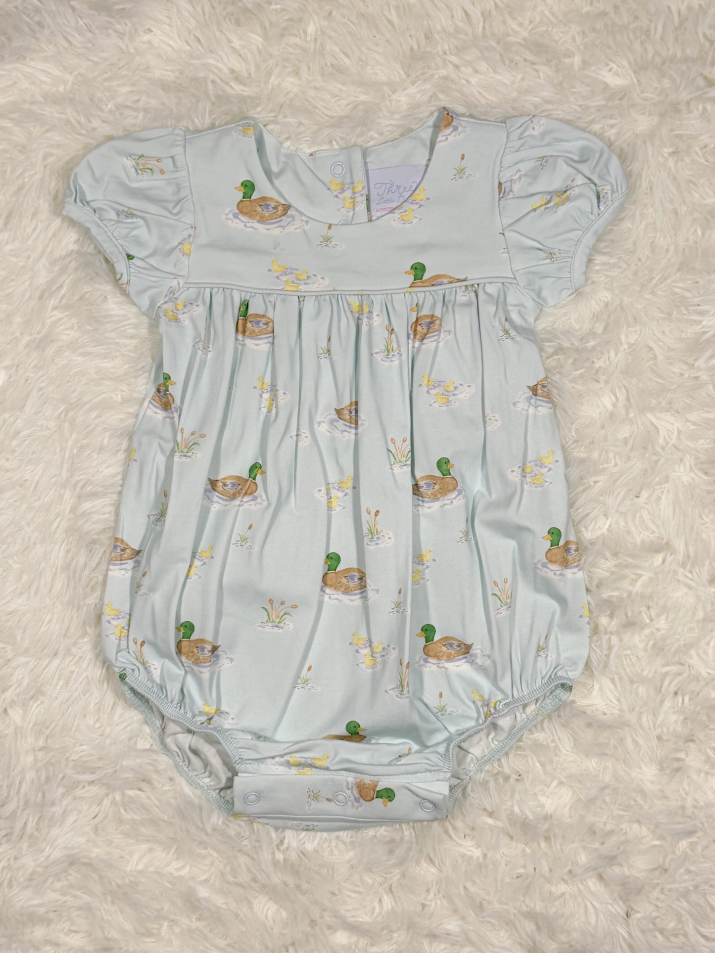 Abigail Bubble- Ducks on the Pond