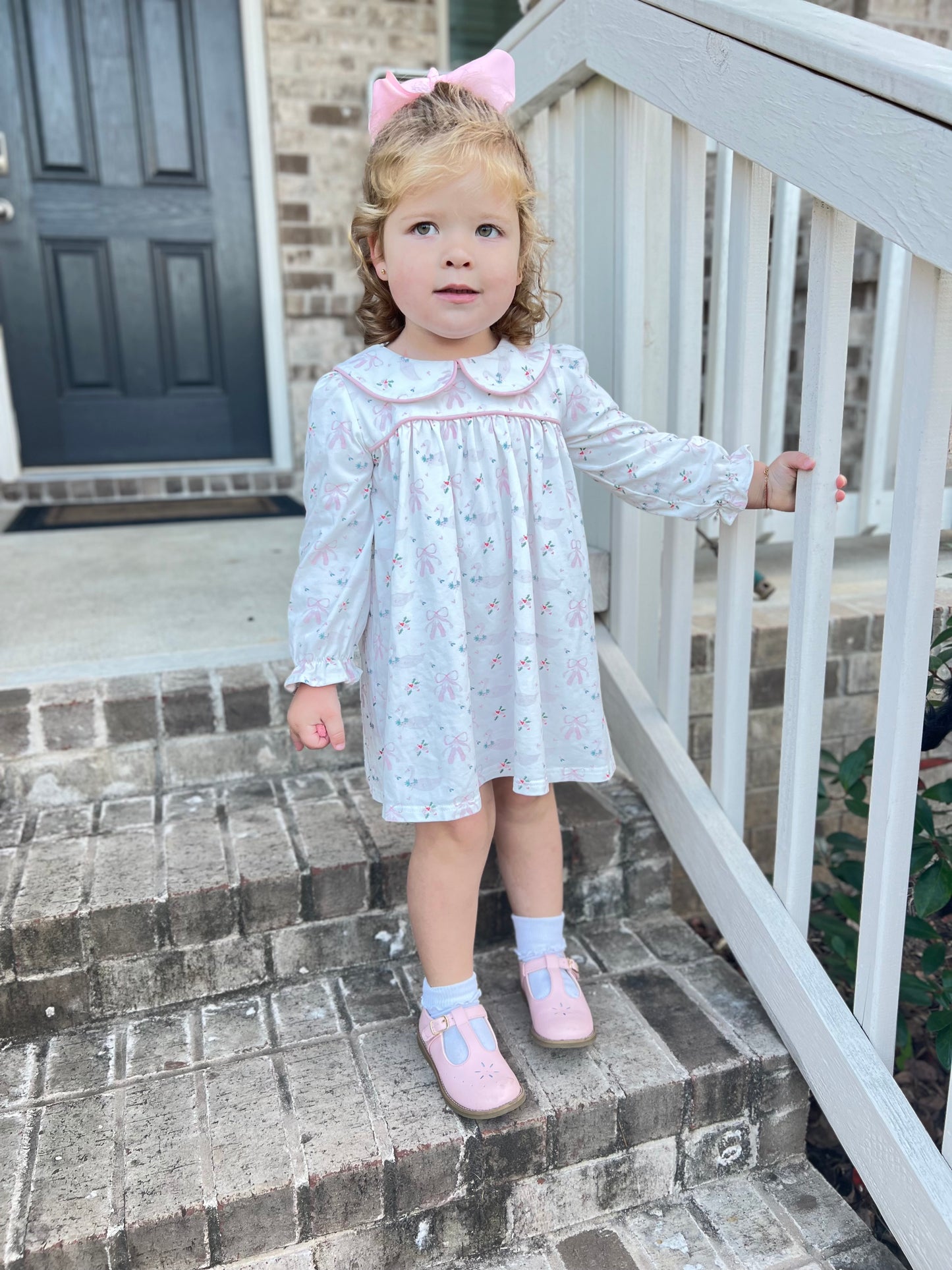 Ansley Long Sleeve Dress- Swan Ballet