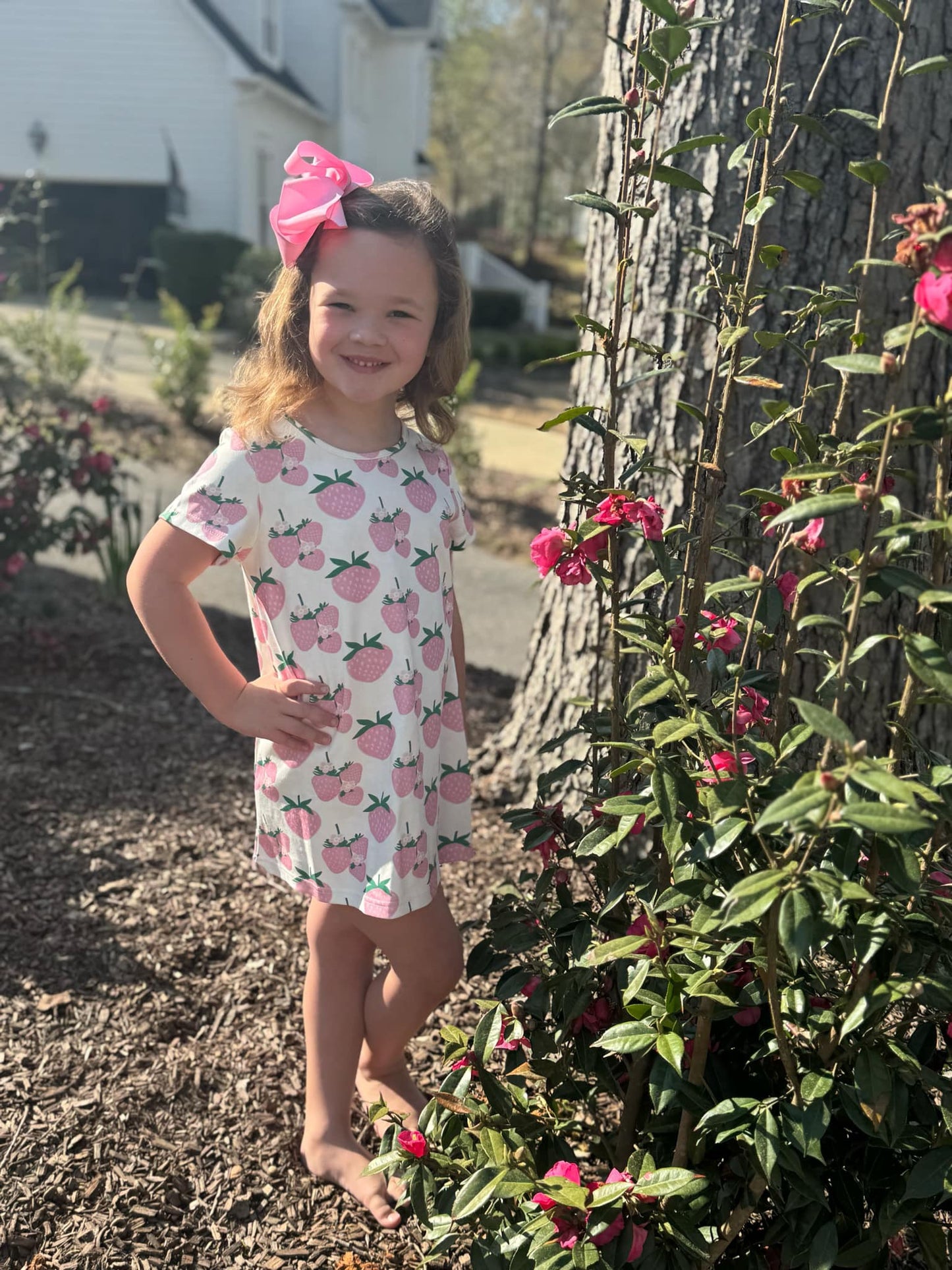 Charlotte Play Dress- Berry Sweet